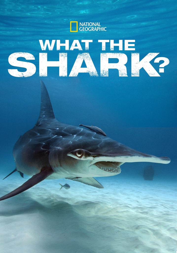 What the Shark? movie watch streaming online